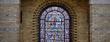 tcf_header8.jpg