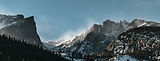 tcf_header21.jpg