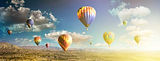 tcf_header30.jpg